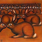Eric Gale - Multiplication (Vinyl)