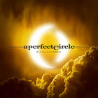 A Perfect Circle - Disillusioned (CDS)
