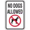 Sidney Gish - No Dogs Allowed