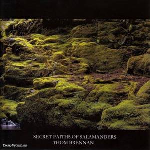 Secret Faith Of Salamanders