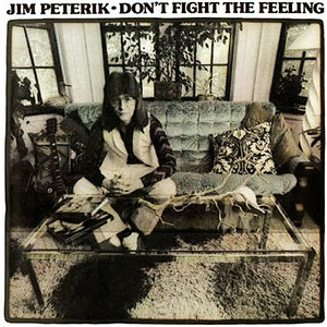 Don't Fight The Feeling (Vinyl)