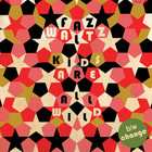 Faz Waltz - Kids Are All Wild (VLS)