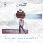 Lost Frequencies - Crazy (With Zonderling) (CDS)