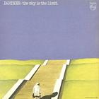 Partner - The Sky Is The Limit (Vinyl)