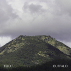 Foot - Buffalo