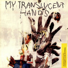 I Start Counting - My Translucent Hands No III (VLS)