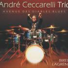 Andre Ceccarelli - Avenue Des Diables Blues (Trio)