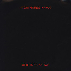 Birth Of A Nation (Vinyl)