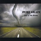Pure Grain - Out Of The Storm