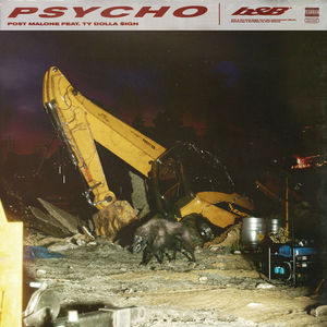 Psycho (CDS)