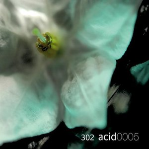 302 Acid 0005
