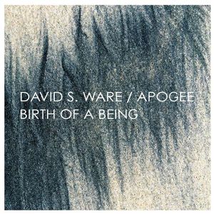 Birth Of A Being (With Apogee) CD2