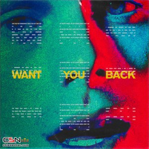 Want You Back (CDS)