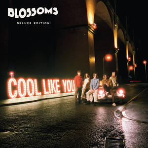 Cool Like You (Deluxe Edition) CD1