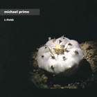 Michael Prime - L-Fields