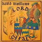 David Mcwilliams - Lord Offaly (Vinyl)