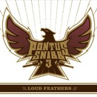 Pontus Snibb - Loud Feathers