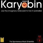 Spontaneous Music Ensemble - Karyobin (Vinyl)