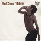 Shed Seven - Dolphin