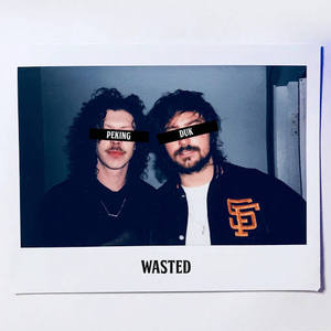 Wasted (CDS)