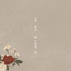 Shawn Mendes - In My Blood (CDS)