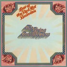 The Flying Burrito Brothers - Last Of The Red Hot Burritos (Vinyl)
