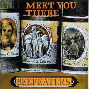 Meet You There (Vinyl)