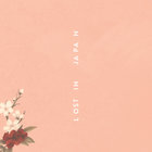 Shawn Mendes - Lost In Japan (CDS)