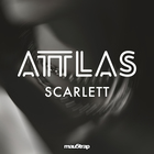 Attlas - Scarlett (CDS)