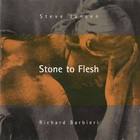 Steve Jansen & Richard Barbieri - Stone To Flesh