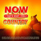 Willie Nelson - Now That's What I Call Country CD1