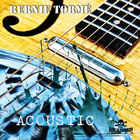 Bernie Torme - Dublin Cowboy 2 CD2