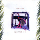 The Choir - Speckled Bird