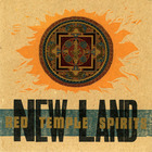 New Land (Vinyl)