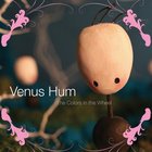 Venus Hum - The Colors Of The Wheel