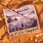 Apes Pigs & Spacemen - Snapshot