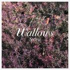 Wallows - Spring (EP)