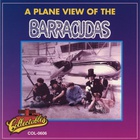 A Plane View Of The Barracudas (Vinyl)