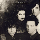 Fur Bible - Plunder The Tombs (VLS)