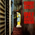 Bobby Sutliff - Only Ghosts Remain (Vinyl)