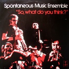 Spontaneous Music Ensemble - So, What Do You Think? (Vinyl)