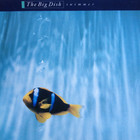 The Big Dish - Swimmer (Vinyl)