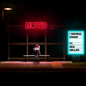 I Wanna Know (Feat. Bea Miller) (CDS)