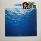 Danny Gottlieb - Aquamarine