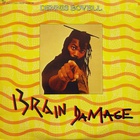 Brain Damage (Vinyl)
