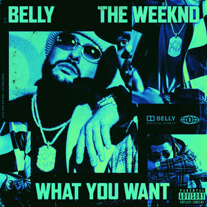 What You Want (Feat. The Weeknd) (CDS)