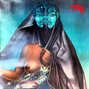 Cosmic Kraut Experience (Vinyl)