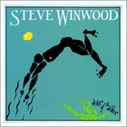 Steve Winwood - The Island Years 1977-1986 CD2