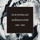 Dub Syndicate - Ambience In Dub 1982-1985 CD5