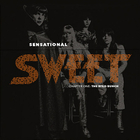The Sweet - Sensational Sweet Chapter One- The Wild Bunch CD1